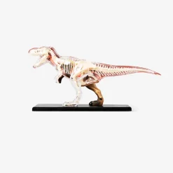 Flying Tiger 3D-anatomisk modell. Tyrannosaurus rex^ Leksaker För Lärande|Pedagogiska Leksaker & Instrument