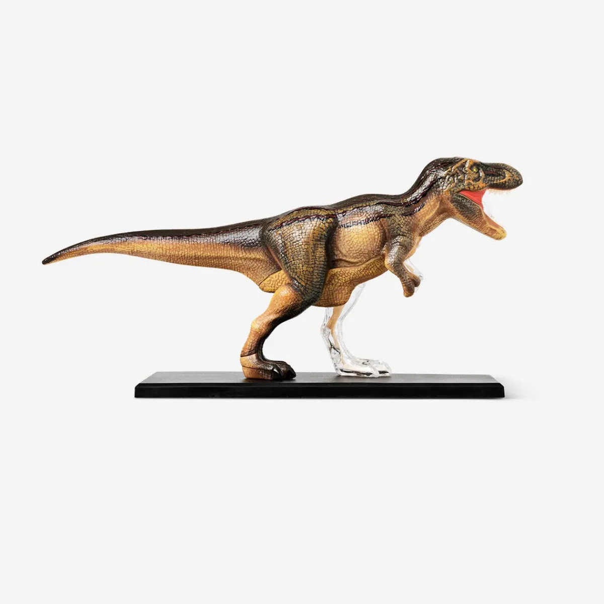 Flying Tiger 3D-anatomisk modell. Tyrannosaurus rex^ Leksaker För Lärande|Pedagogiska Leksaker & Instrument