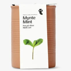 Flying Tiger Mint. Örter kan^Kvinnor Dekorationer För Utomhusbruk|Gåvor Till Lärare