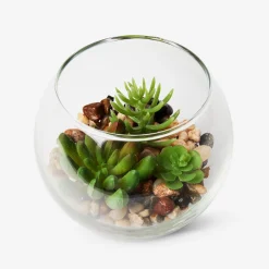 Flying Tiger Terrarium^ Annan Heminredning|Gåvor Till Inflyttningsfesten