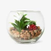 Flying Tiger Terrarium^ Annan Heminredning