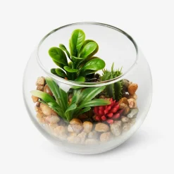 Flying Tiger Terrarium^ Annan Heminredning