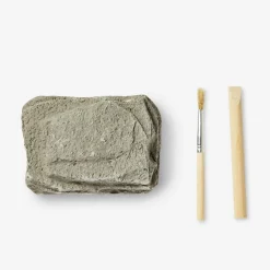 Flying Tiger Utgrävningssats med fossil^ Leksaker För Lärande|Pedagogiska Leksaker & Instrument